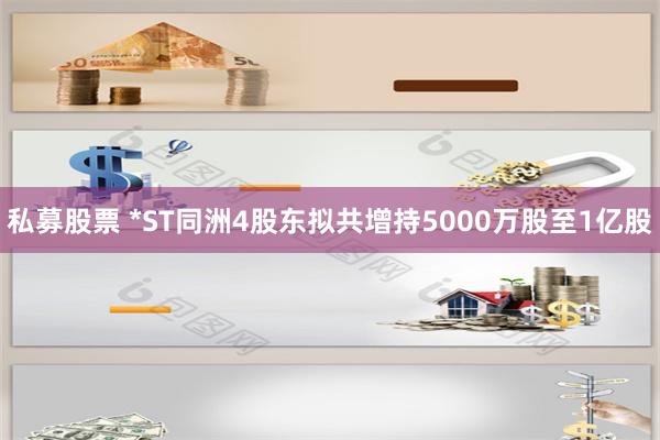 私募股票 *ST同洲4股东拟共增持5000万股至1亿股