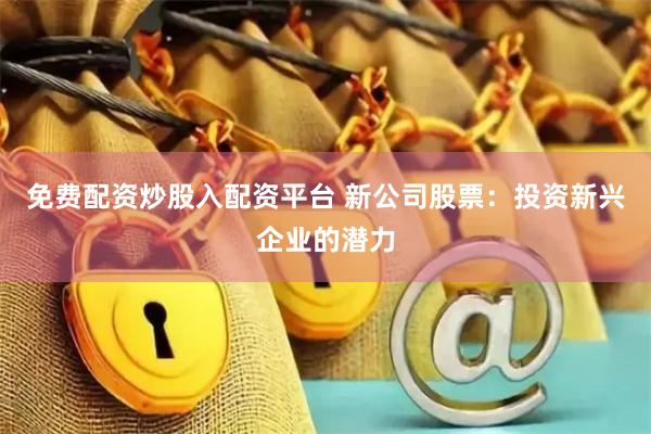 免费配资炒股入配资平台 新公司股票：投资新兴企业的潜力