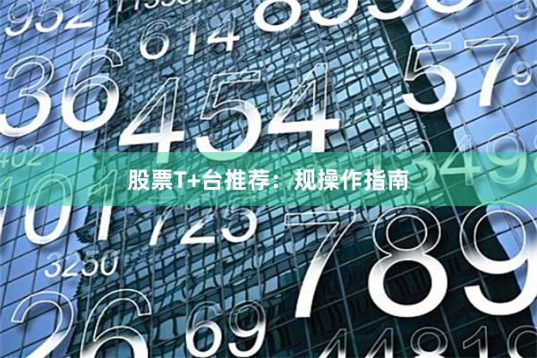 股票T+台推荐：规操作指南