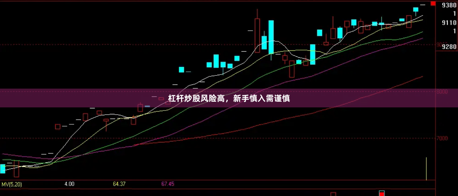 杠杆炒股风险高，新手慎入需谨慎