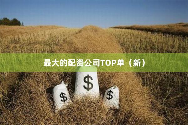 最大的配资公司TOP单（新）